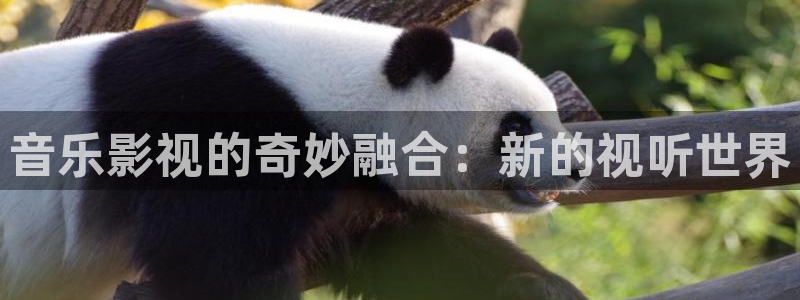 橘子影视在哪下载：音乐影视的奇妙融合：新的视听世界