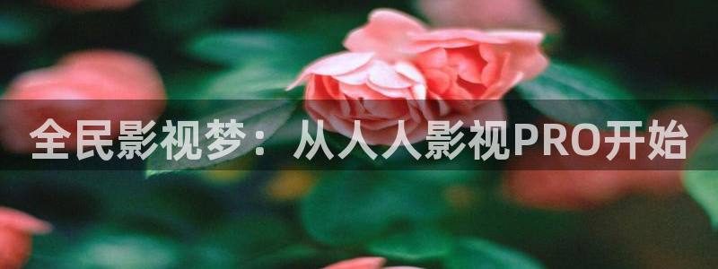 橘子片：全民影视梦：从人人影视PRO开始