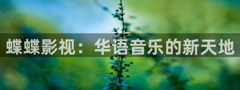 橘子视频安卓：蝶蝶影视：华语音乐的新天地