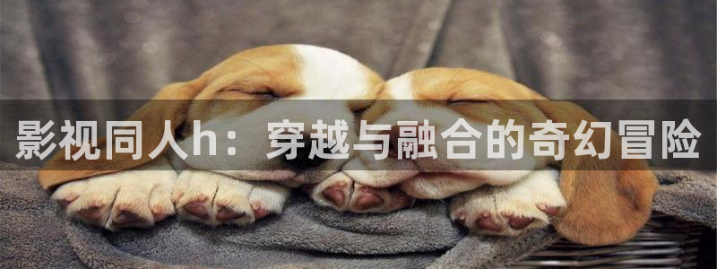 橘子视频怎么下载：影视同人h：穿越与融合的奇幻冒险