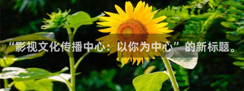 橘子和桔子：“影视文化传播中心：以你为中心”的新标题。