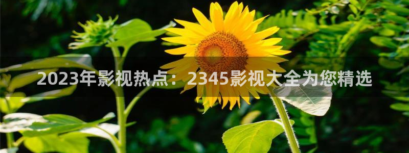 橘子视频网页：2023年影视热点：2345影视大全为您精选