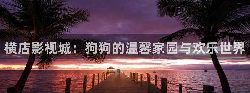橘子视频在哪里下载：横店影视城：狗狗的温馨家园与欢乐世界