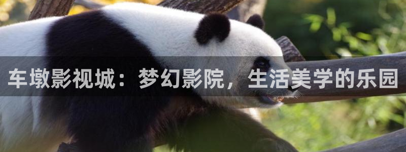 橘子视频怎么下载视频：车墩影视城：梦幻影院，生活美学的乐园