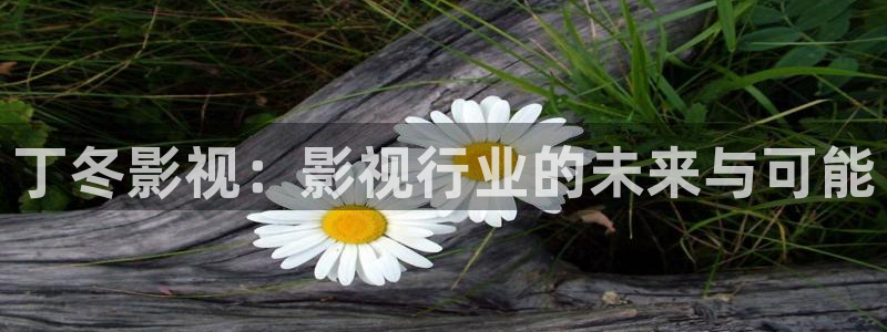 橘子视频下载链接：丁冬影视：影视行业的未来与可能