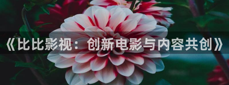 苹果橘子视频：《比比影视：创新电影与内容共创》